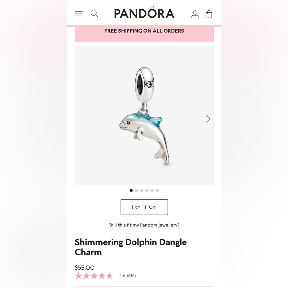 Shimmering Dolphin dangle charm